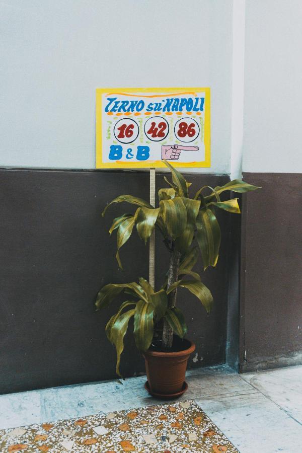 Bed and Breakfast Terno Su Napoli Экстерьер фото
